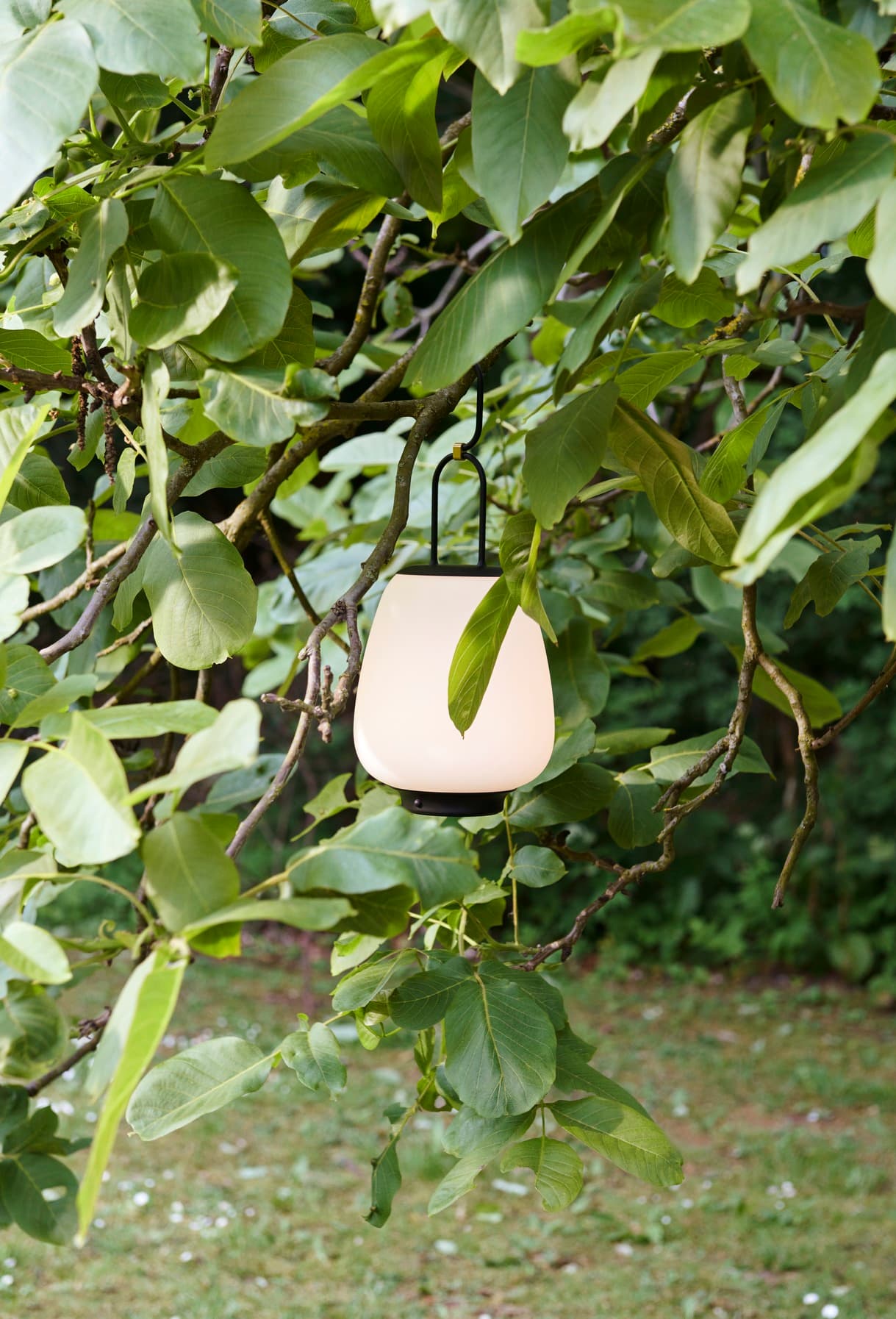 Lucca Lamp SC51